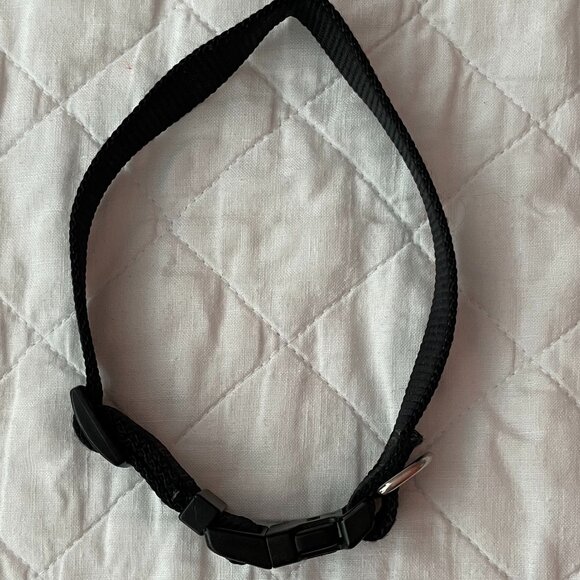 Aspen Pets Dog Collar - Picture 1 of 6